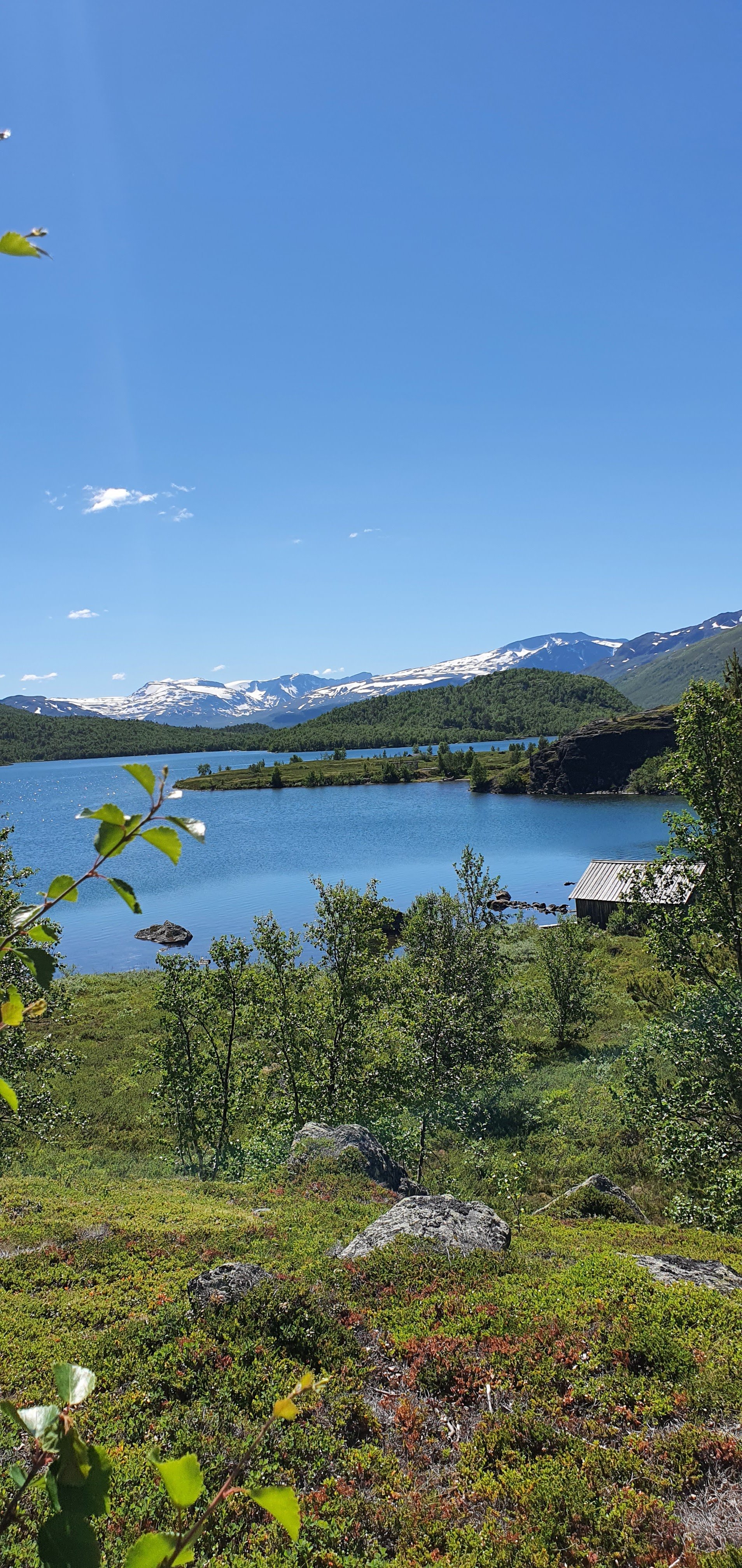 Jotunheimen Caravan Camp (Sjodalsvegen, Tessanden)